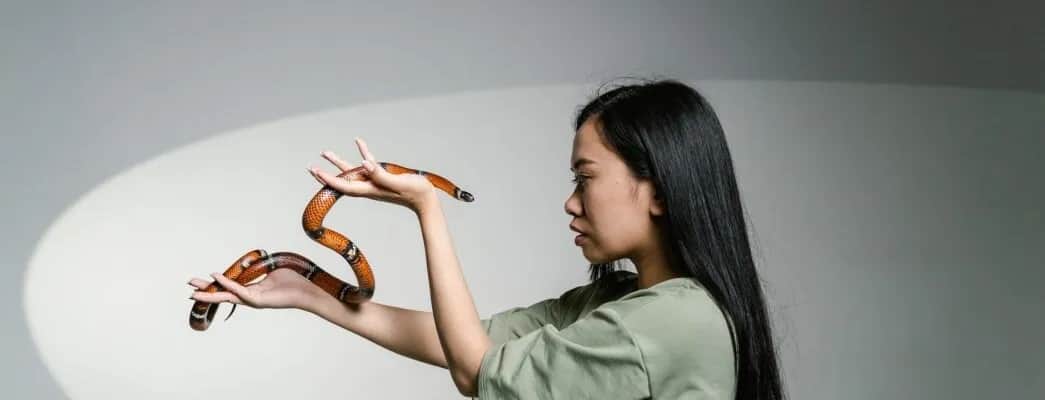 Fobii czy fobie - poznaj poprawną formę i uniknij błędów